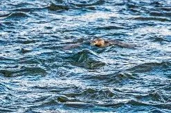 爱游戏官网平台入口 -8v8vv8v8任意燥cjwico